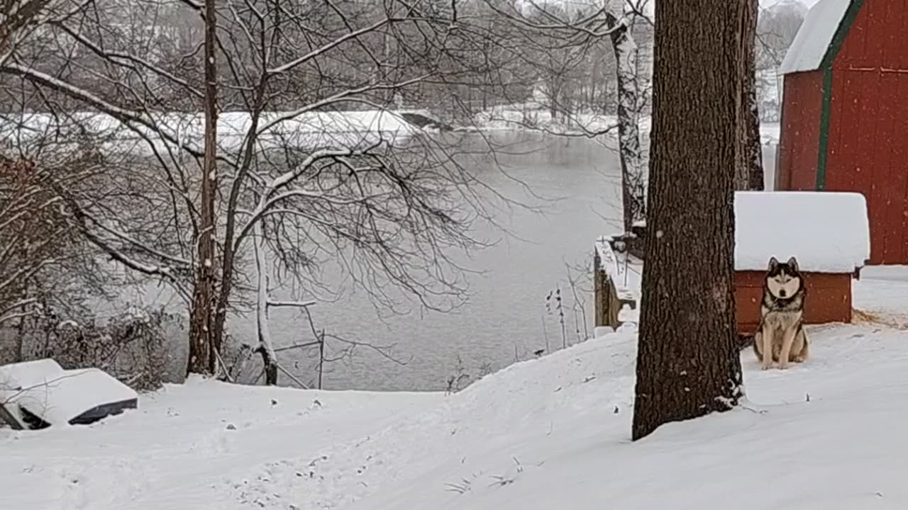 It's a snowy day on the lake
