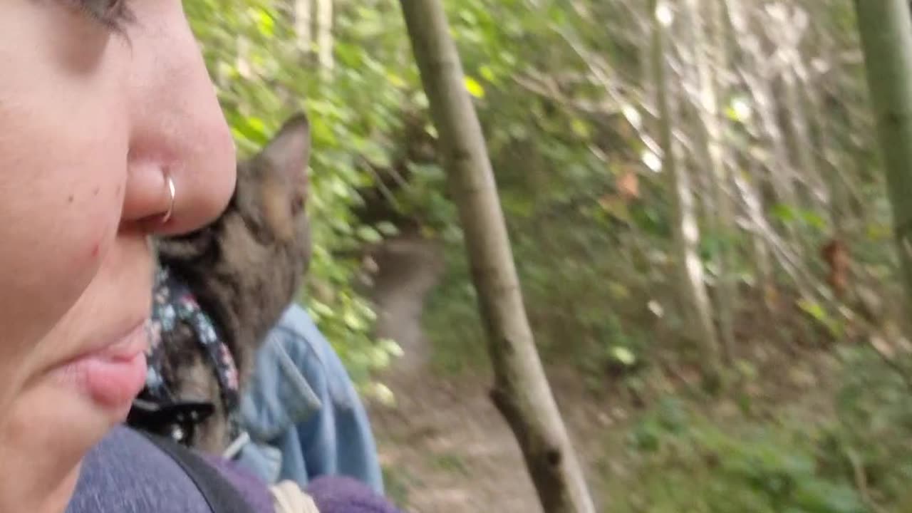 Taking The Cat For A Nature Walk