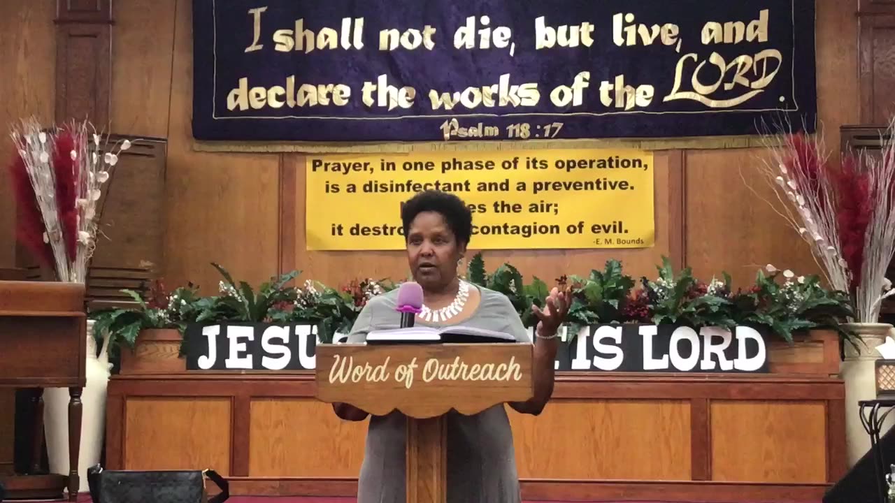 Disinfectant, Preventative and More