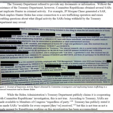 Hunter Biden Dodging SARS Notices by Major Banks