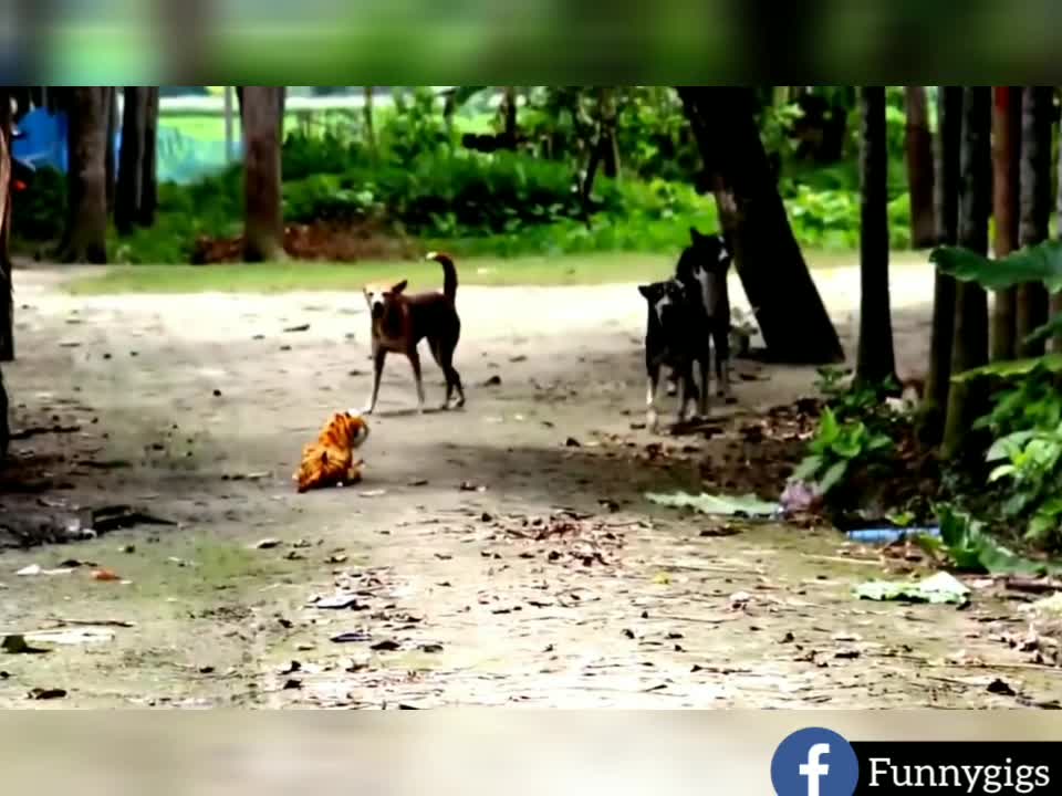 Dog vs Tiger toy. #3