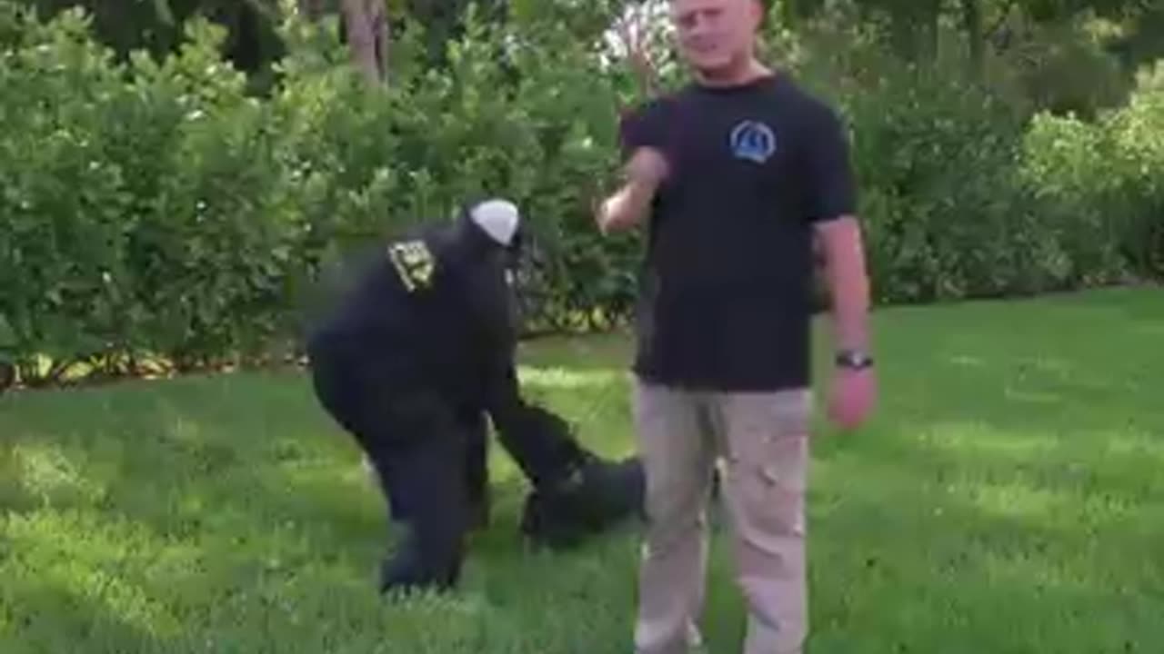 How to Train your Dog For Ultimate Control?