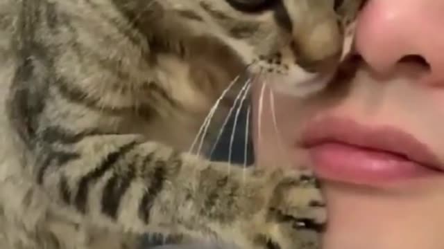 Dog And Cat Love Their Owners - Cute Animals