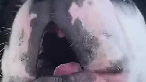 Want to come out