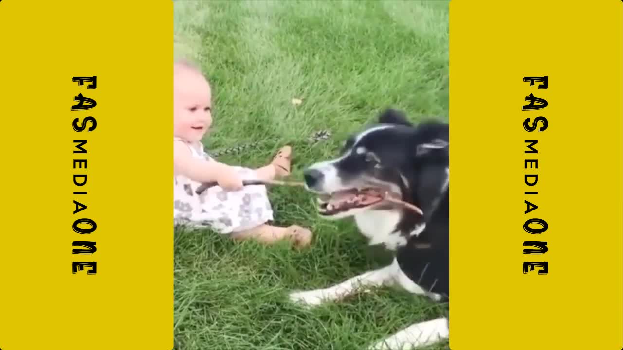 baby and dog fun funny clip