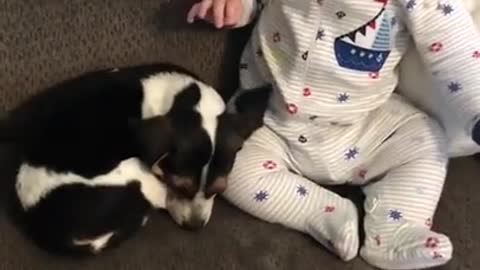 Funny Baby with adorable pet