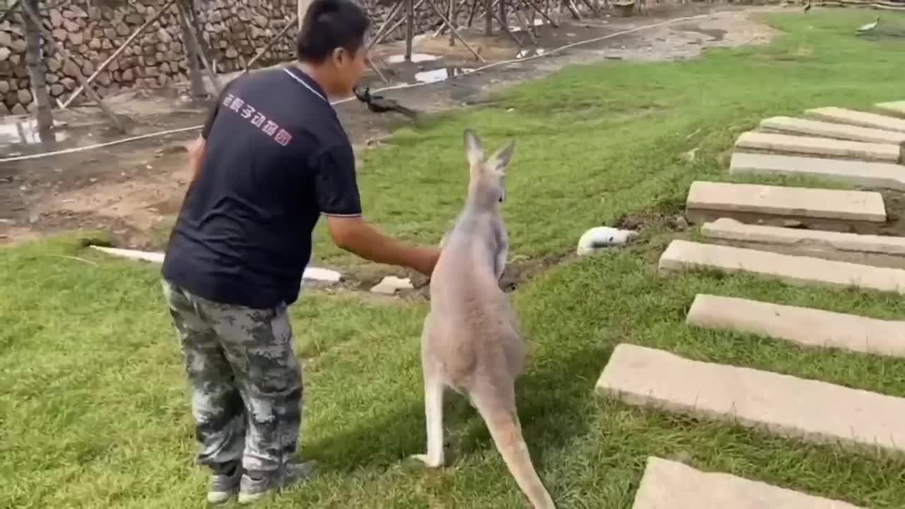 Funniest Moments of the Year Compilation