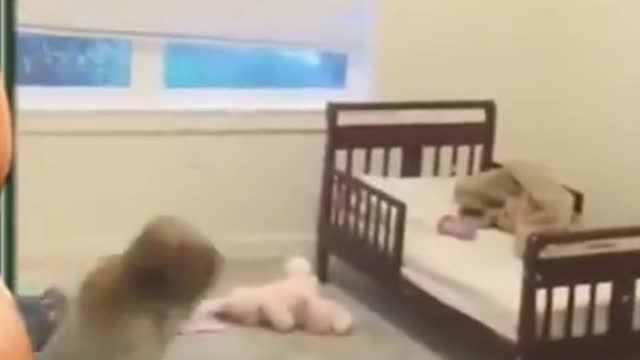Baby, baby videos, funny videos