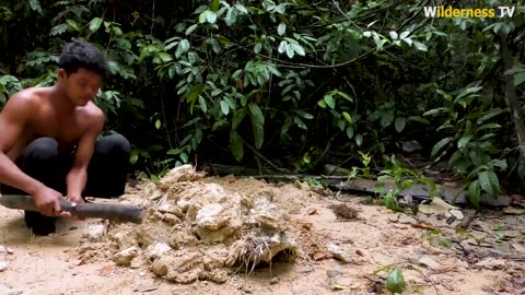 how to traine abbadom popies