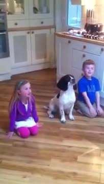 Perro adora realizar trucos con sus hermanos humanos