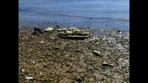 Lake Michigan Water Level