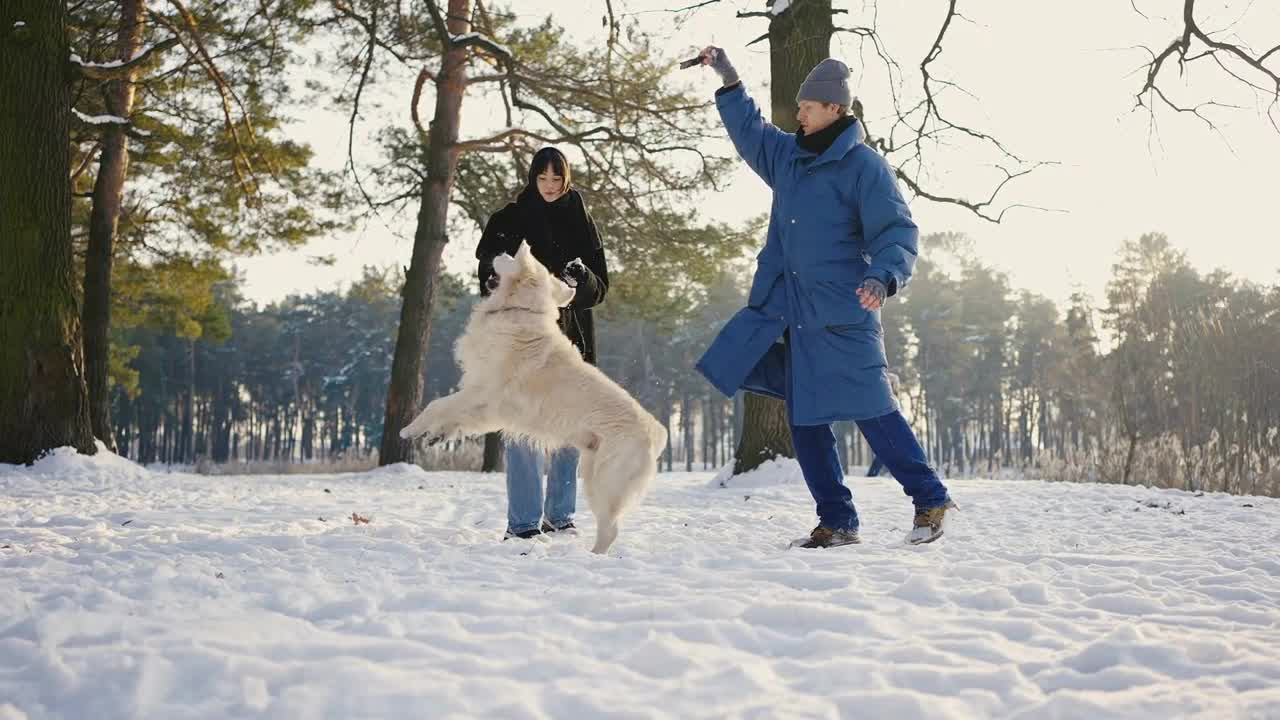 man and woman have fun with their dog retriever in winter forest playing and throwing stick