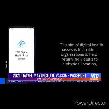 Vaccine Travel passport??