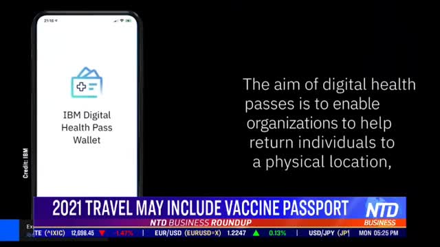 Vaccine Travel passport??