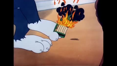 Tom&jerry funny clip