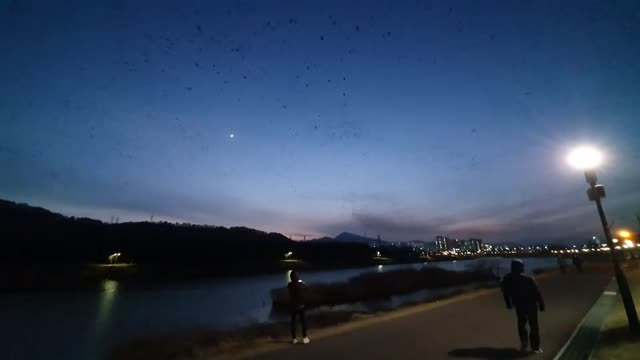 Thousands of birds in the sky of Ulsan city