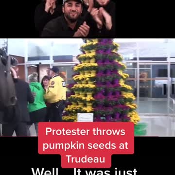 Trudeau HIT by PUMPKIN SEEDS