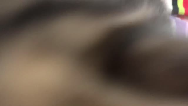 Katzen Babys