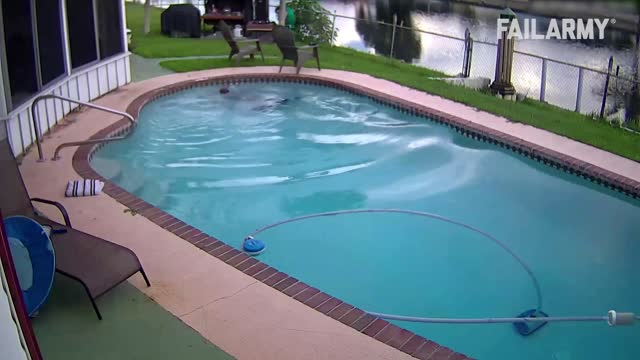 Funny Pool Fails