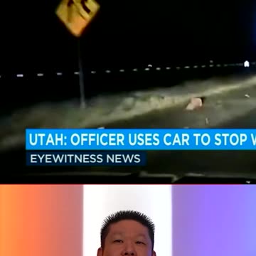 Cop Rams A Wrong Way Driver To Stop Them