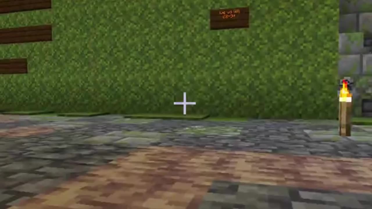 Minecraft battels at the ancient temple