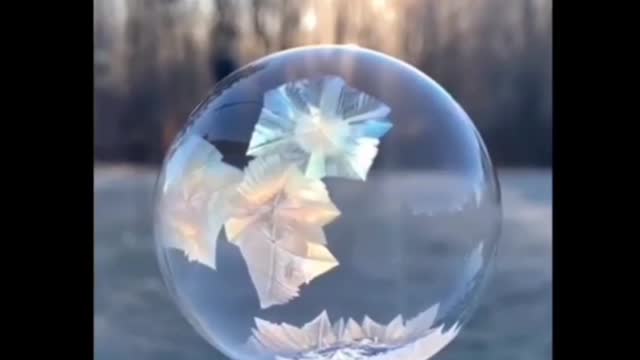 Ice Crystals forming on a bubble