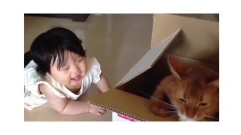 Very Beautiful Baby And Cat