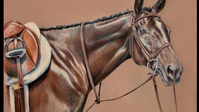 Maria D'Angelo Fine Art - Equine Portraits