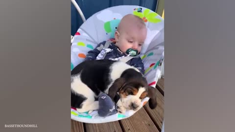 When we become best friends - Cute Moments Dog and Human