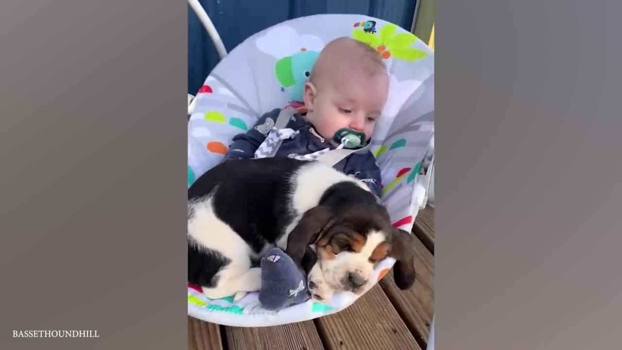 When we become best friends - Cute Moments Dog and Human