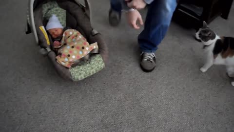 Cats Meeting Babies for the FIRST Time [ New ]