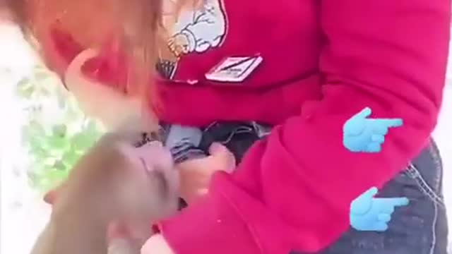 Funny monkey 🤣