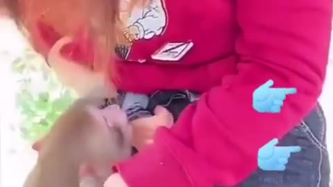 Funny monkey 🤣