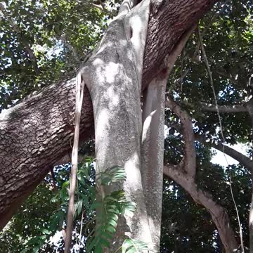 God's work is just plain amazing.