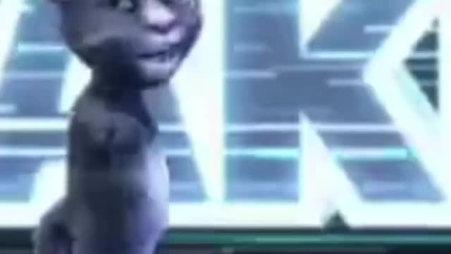 Singing Cat