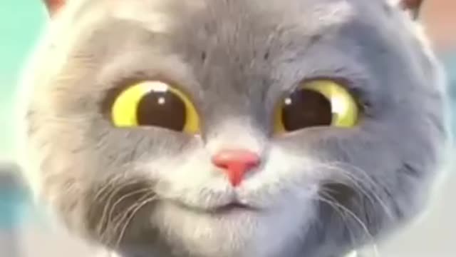Viral cute cat dance