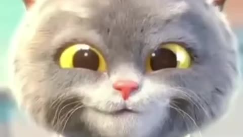 Viral cute cat dance