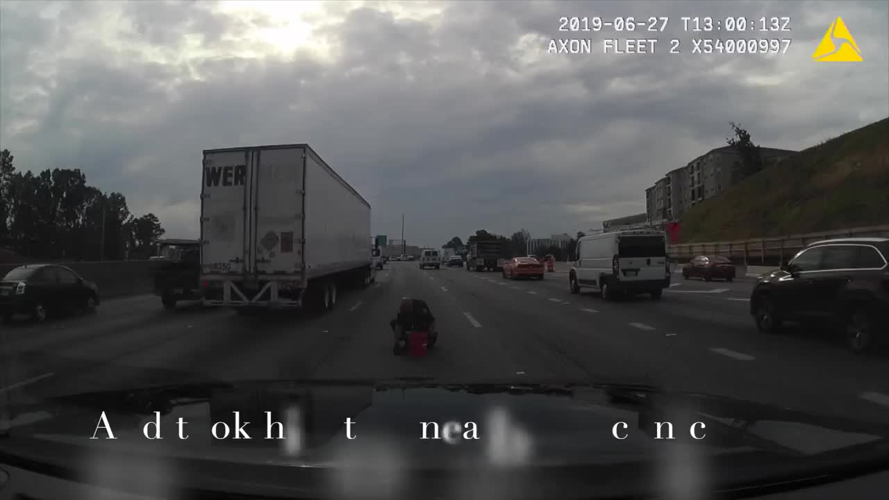 K-9 officer rescues kitten dumped on interstate