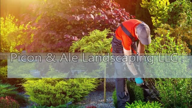 Picon & Ale Landscaping LLC - (571) 410-0566