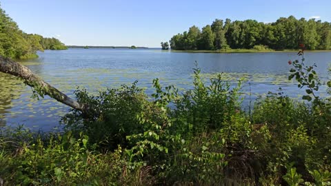 Kuggenäs naturreservat 12 Juli 2022