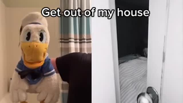 Donald Duck is afraid #shorts