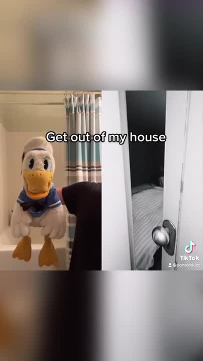Donald Duck is afraid #shorts