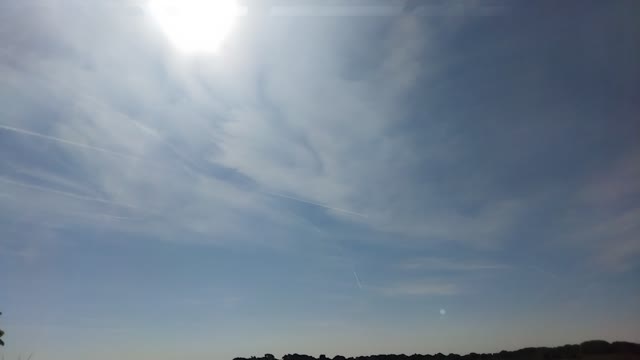 Chemtrails.Sprayed like roaches.