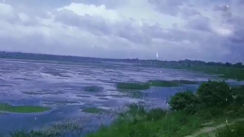Train travel video beautiful nature