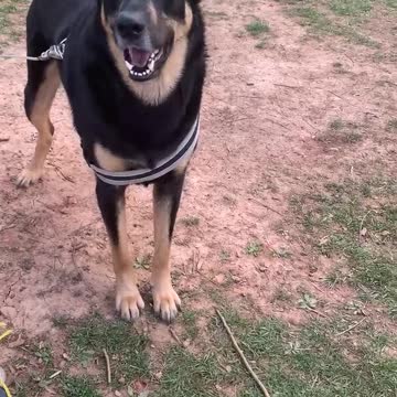 Please standby for a PSA from Sam