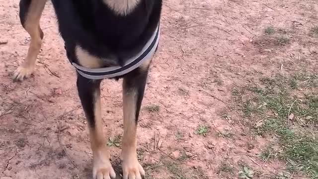 Please standby for a PSA from Sam