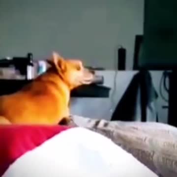 Playing rhythm for Mr. Dollarz