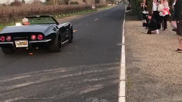 Corvette gender reveal Burnout