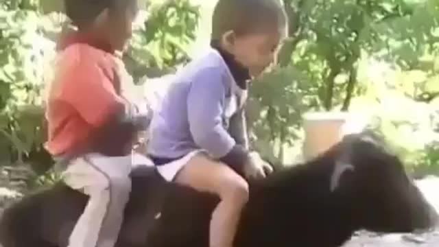 Flick kid