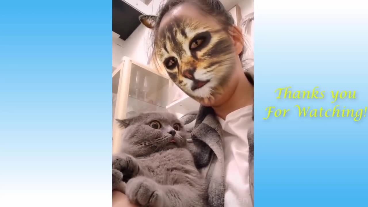 Funny and Cute Animals reaction to human face prank. positive vibe human and pets